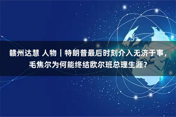 赣州达慧 人物｜特朗普最后时刻介入无济于事，毛焦尔为何能终结欧尔班总理生涯？